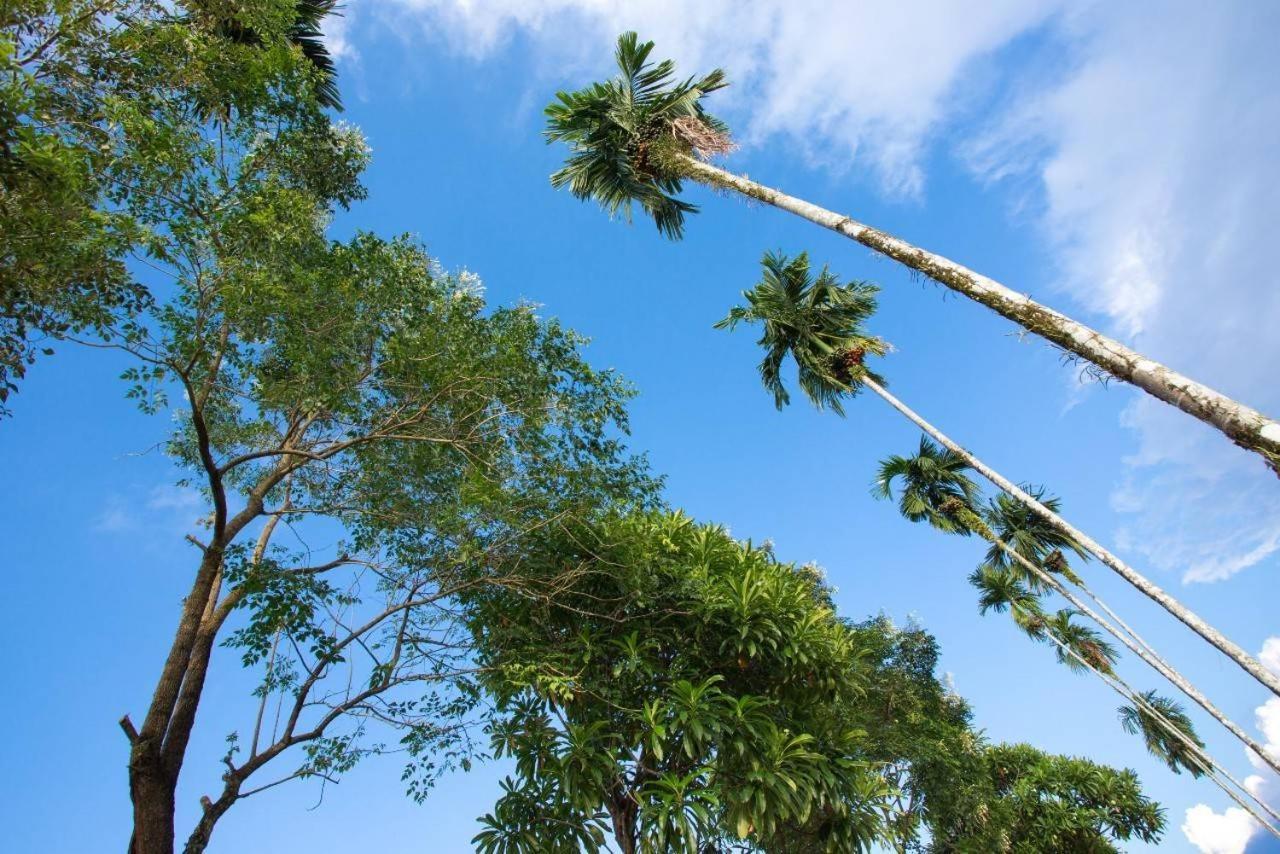 Baan Chong Fa Resort Khao Lak Bagian luar foto